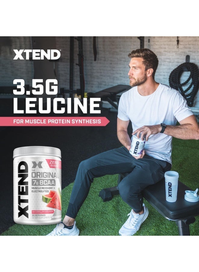 XTEND Original BCAA Powder - Watermelon Explosion - 375gm- 30 serving - Image 5